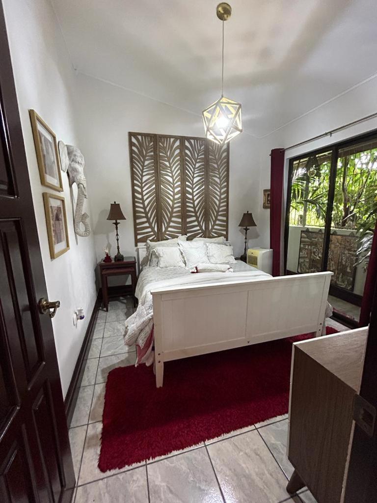 Casa Sophia 3 Listings Apartment 1 Or Apartment 2 Separately Or Apt 1 And 2 Together All With Fo Internet Guápiles Exteriér fotografie